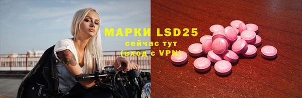 стаф Медвежьегорск