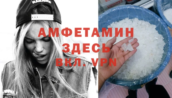 молекула духа Снежногорск