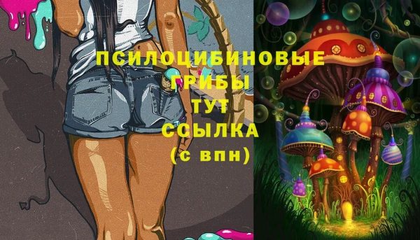 стаф Медвежьегорск
