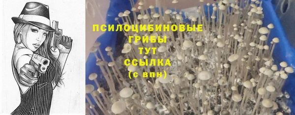 MESCALINE Мегион