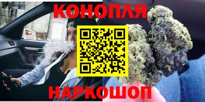 индика Новозыбков