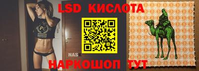 индика Новозыбков