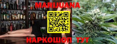 индика Новозыбков