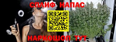 индика Новозыбков