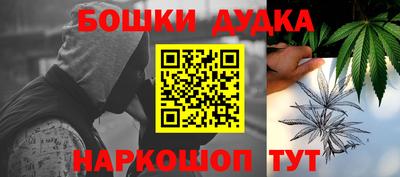 индика Новозыбков