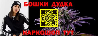 индика Новозыбков