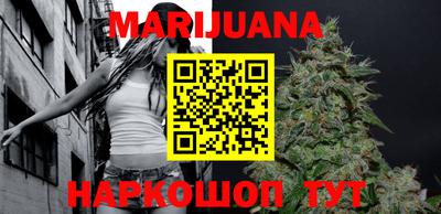 индика Новозыбков