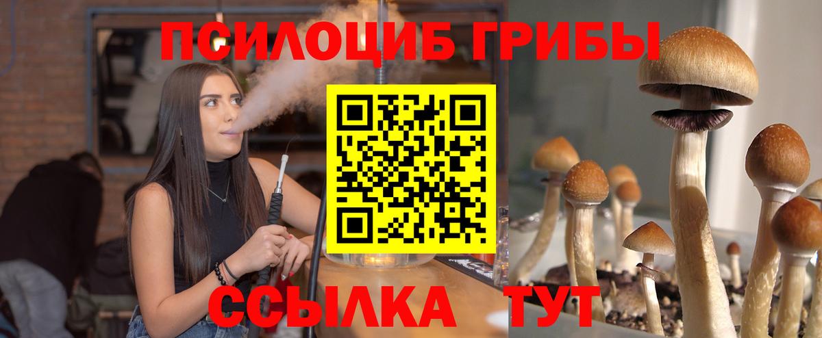 Галлюциногенные грибы мицелий Можга